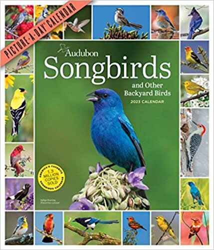 تحميل Audubon Songbirds and Other Backyard Birds Picture-A-Day Wall Calendar 2023: A Beautiful Bird Filled Way to Keep Track of 2023