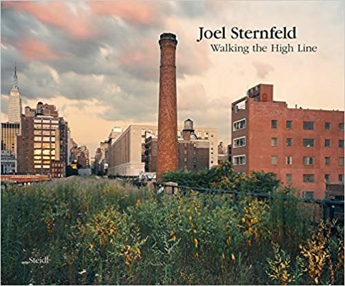 Walking the High Line: Revised Edition indir