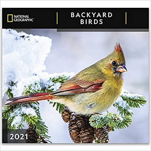 National Geographic Backyard Birds 2021 Wall Calendar indir