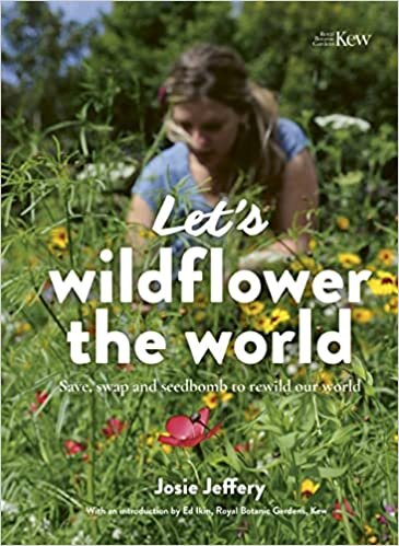 تحميل Let&#39;s Wildflower the World: Save, swap and seedbomb to rewild our world