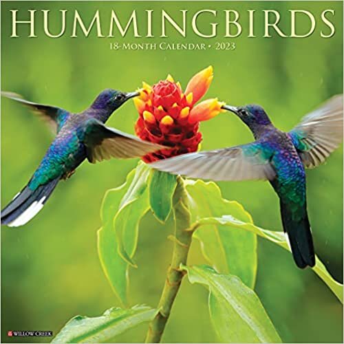 ダウンロード  Hummingbirds 2023 Wall Calendar 本