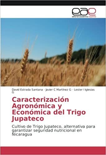 Caracterización Agronómica y Económica del Trigo Jupateco: Cultivo de Trigo Jupateco, alternativa para garantizar seguridad nutricional en Nicaragua indir