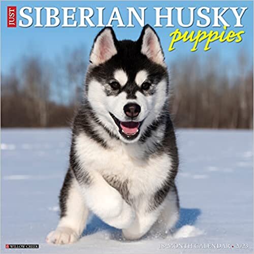 ダウンロード  Just Siberian Husky Puppies 2023 Wall Calendar 本