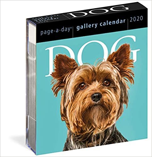 Dog Gallery 2020 Calendar