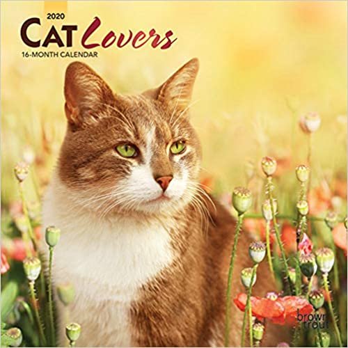 Cat Lovers 2020 Calendar