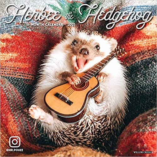 Herbee the Hedgehog 2021 Calendar