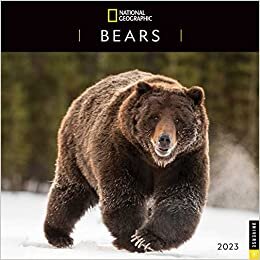 تحميل National Geographic: Bears of the World 2023 Wall Calendar