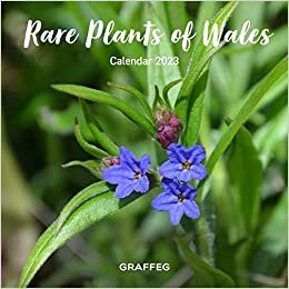 اقرأ Rare Plants of Wales Calendar 2023 الكتاب الاليكتروني 