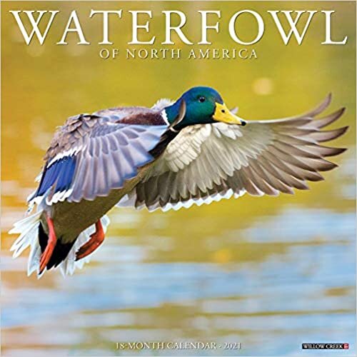 Waterfowl of North America 2021 Calendar
