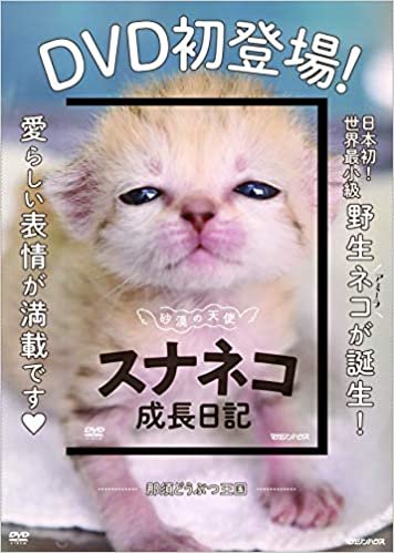 ダウンロード  砂漠の天使スナネコ成長日記 (DVD) 本