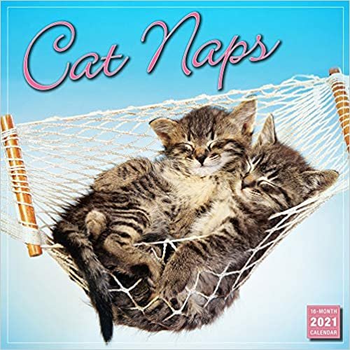 ダウンロード  Cat Naps 2021 Calendar 本