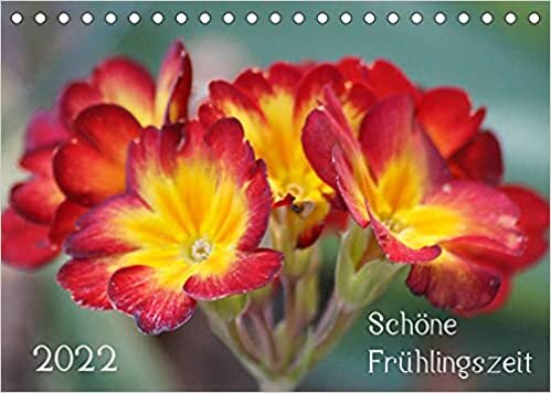 Schoene Fruehlingszeit (Tischkalender 2022 DIN A5 quer): Mit Fruehlingsblueten durch das Jahr! (Monatskalender, 14 Seiten )