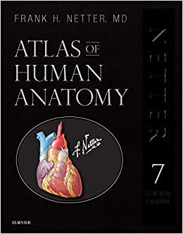 indir Atlas of Human Anatomy, Professional Edition: including NetterReference.com Access with Full Downloadable Image Bank (Netter Basic Science)