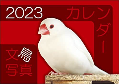 ダウンロード  【Amazon.co.jp 限定】文鳥・鳥写真カレンダー2023 (B6サイズ。ワンタッチで卓上にも壁掛けにもなる3Wayカレンダー) 本