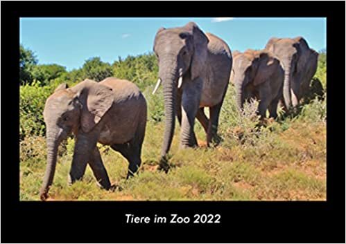 ダウンロード  Tiere im Zoo 2022 Fotokalender DIN A3: Monatskalender mit Bild-Motiven von Haustieren, Bauernhof, wilden Tieren und Raubtieren 本