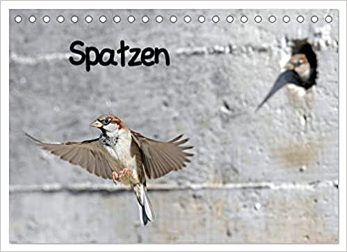 ダウンロード  Spatzen (Tischkalender 2023 DIN A5 quer): Sperlinge, auch gerne Spatzen genannt, sind die vermutlich bekanntesten Singvoegel (Monatskalender, 14 Seiten ) 本