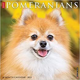 indir Just Pomeranians 2021 Calendar
