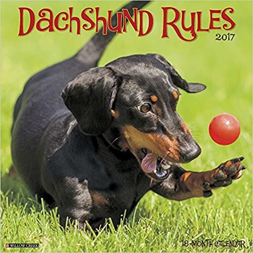 ダウンロード  Dachshund Rules 2017 Calendar 本