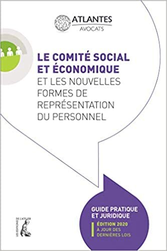 indir Le comité social et économique et les nouvelles formes de représentation du personnel: Guide pratique (édition 2020 à jour des dernières lois) (SCIENCES HUM HC)