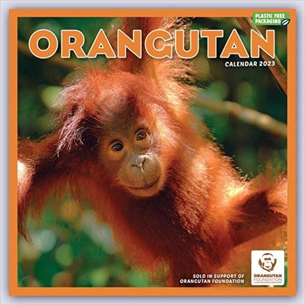 Orangutan - Orang-Utan 2023: Original Carousel-Kalender [Mehrsprachig] [Kalender] ダウンロード
