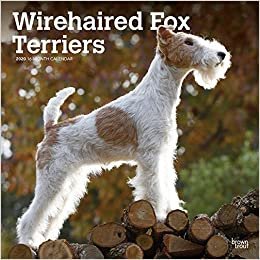 ダウンロード  Wirehaired Fox Terriers 2020 Calendar 本