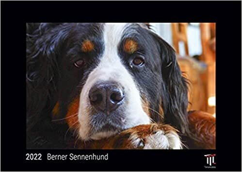 ダウンロード  Berner Sennenhund 2022 - Black Edition - Timokrates Kalender, Wandkalender, Bildkalender - DIN A3 (42 x 30 cm) 本