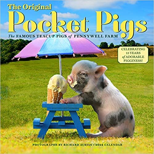 ダウンロード  The Original Pocket Pigs Wall Calendar 2022 本