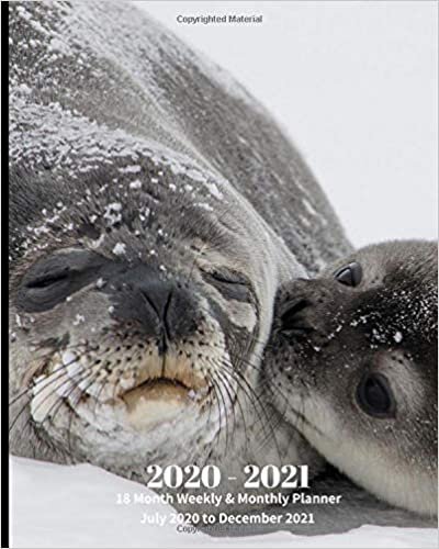 indir 2020 -2021 18 Month Weekly and Monthly Planner July 2020 to December 2021: Mother Seal and Seal Pup- Monthly Calendar with U.S./UK/ ... Review/Notes 8 x 10 in.- Animal Nature Ocean