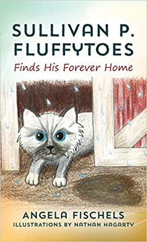 indir Sullivan P. Fluffytoes Finds His Forever Home