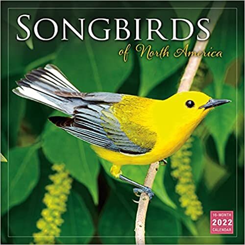 ダウンロード  Songbirds of North America 2022 16 Month Calendar 本