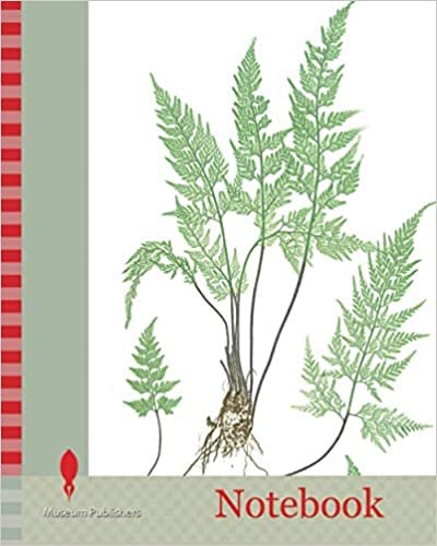 Notebook: A-B. Asplenium Adiantum-nigrum. C-D. A. Adiantum-nigrum obtusum. The black maidenhair spleenwort, Bradbury, Henry Riley (1821-1887), (Illustrator), ferns of Great Britain and Ireland indir