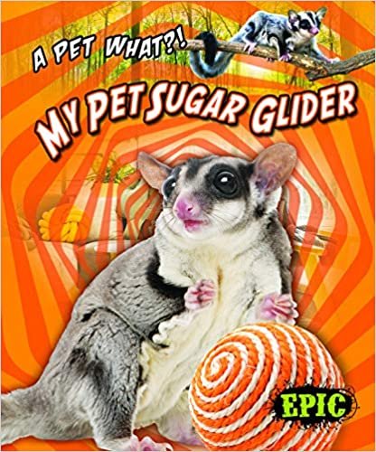 My Pet Sugar Glider (Pet What?!) indir