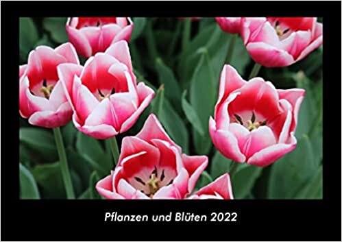 Pflanzen und Blueten 2022 Fotokalender DIN A3: Monatskalender mit Bild-Motiven aus Fauna und Flora, Natur, Blumen und Pflanzen