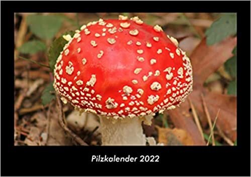 Pilzkalender 2022 Fotokalender DIN A3: Monatskalender mit Bild-Motiven aus Fauna und Flora, Natur, Blumen und Pflanzen ダウンロード