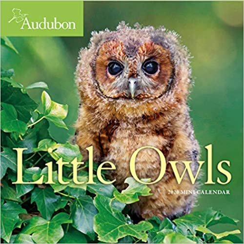 Audubon Little Owls 2020 Calendar