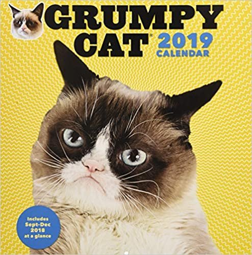 ダウンロード  Grumpy Cat 2019 Wall Calendar 本