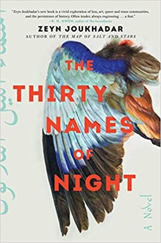 ダウンロード  The Thirty Names of Night: A Novel 本