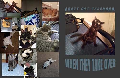 ダウンロード  Crazy and Lazy Cats!: Calendar: Calendar (English Edition) 本