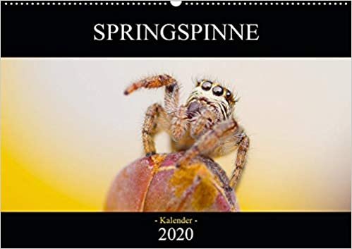 Daniel Fotografie, D: Springspinne Kalender 2020 (Wandkalend indir