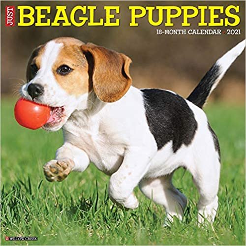 indir Just Beagle Puppies 2021 Calendar