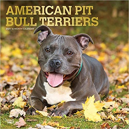 ダウンロード  American Pit Bull Terriers 2021 Calendar: Foil Stamped Cover 本