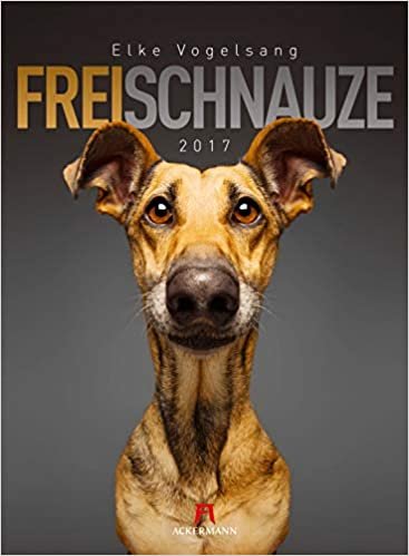 ダウンロード  Frei Schnauze 2022 本
