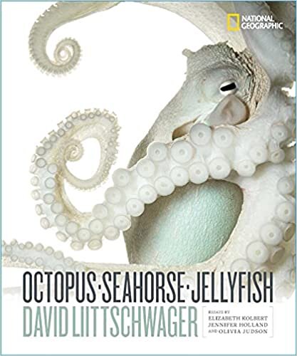 تحميل Octopus, Seahorse, Jellyfish