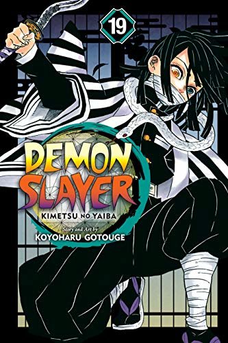 Demon Slayer: Kimetsu no Yaiba, Vol. 19: Flapping Butterfly Wings (English Edition)