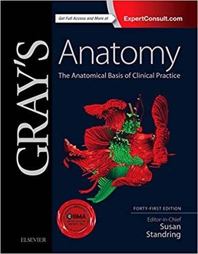 اقرأ Gray's Anatomy: The Anatomical Basis of Clinical Practice الكتاب الاليكتروني 