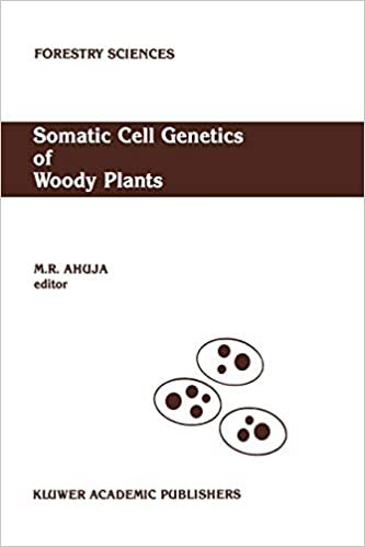 Somatic Cell Genetics of Woody Plants: Proceedings of the IUFRO Working Party S2. 04-07 Somatic Cell Genetics, held in Grosshansdorf, Federal Republic of Germany, August 10-13, 1987