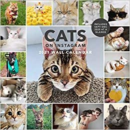 ダウンロード  Cats on Instagram 2021 Wall Calendar: (Monthly Calendar of Adorable Internet Kitties, Photos of Cute and Funny Cats in 12-Month Calendar) 本