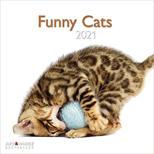 Funny Cats 2021 - Wand-Kalender - Broschüren-Kalender - A&I - 30x30 - 30x60 geöffnet indir
