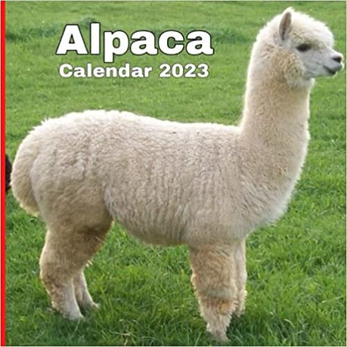 Alpaca calendar 2023: Gift for animals lovers
