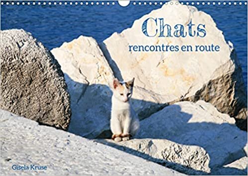 Chats - rencontres en route (Calendrier mural 2023 DIN A3 horizontal): En Europe du Sud, on trouve des chats errants presque partout (Calendrier mensuel, 14 Pages )